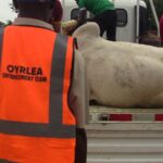 Security Operatives Quell Attempt to Disrupt OYRLEA Enforcement Against Illegal Trading