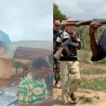 Gunmen Kill 30, Including Women, Children in Southern Kaduna