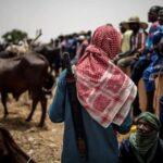 Three Killed, Two Missing as Militia Attacks Herders in Plateau