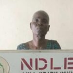 NDLEA Nabs 83-Year-Old Grandma Others, Seizes Meth, Colorado, Cannabis